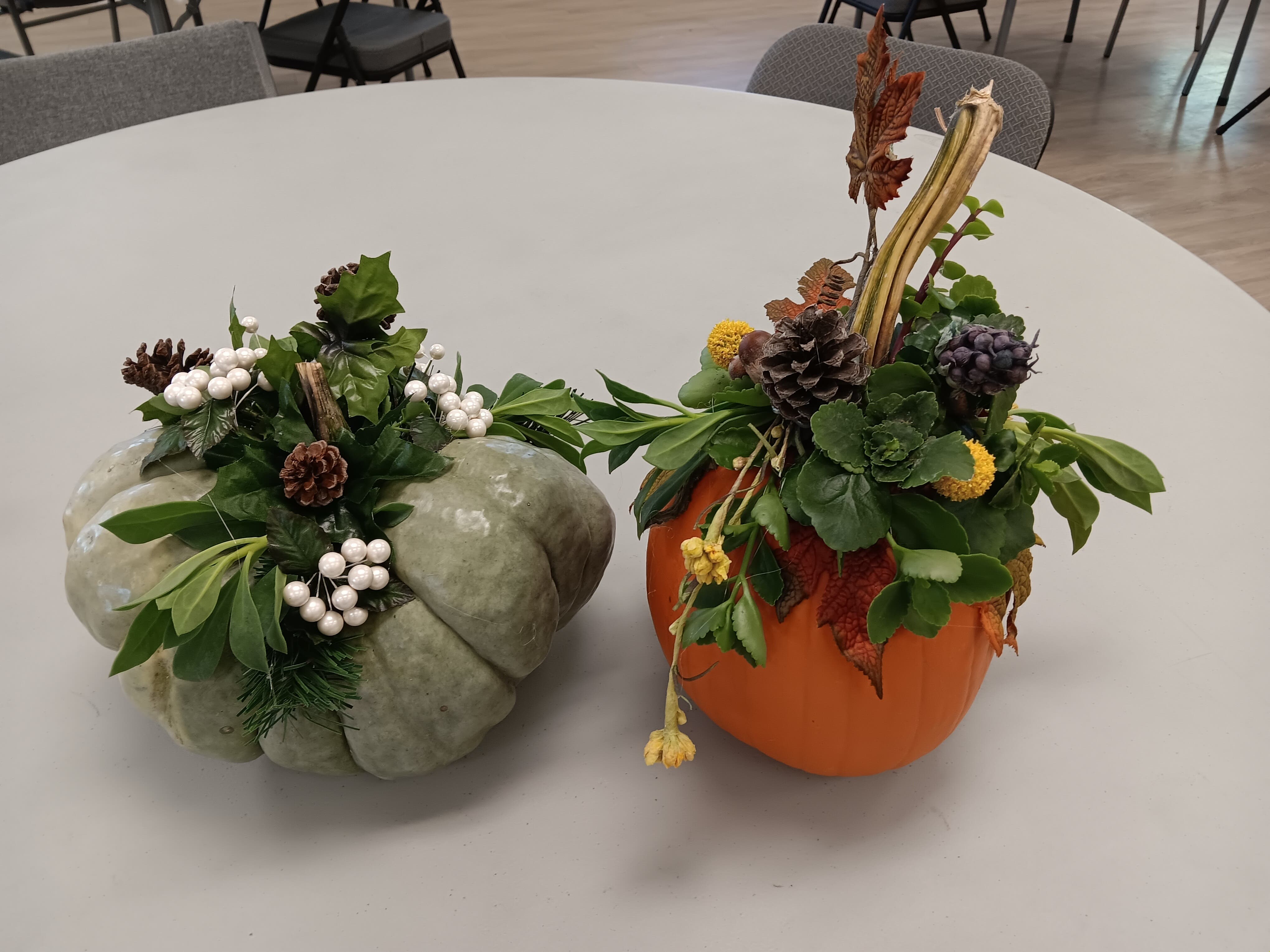 Succulent Pumpkin Workshop