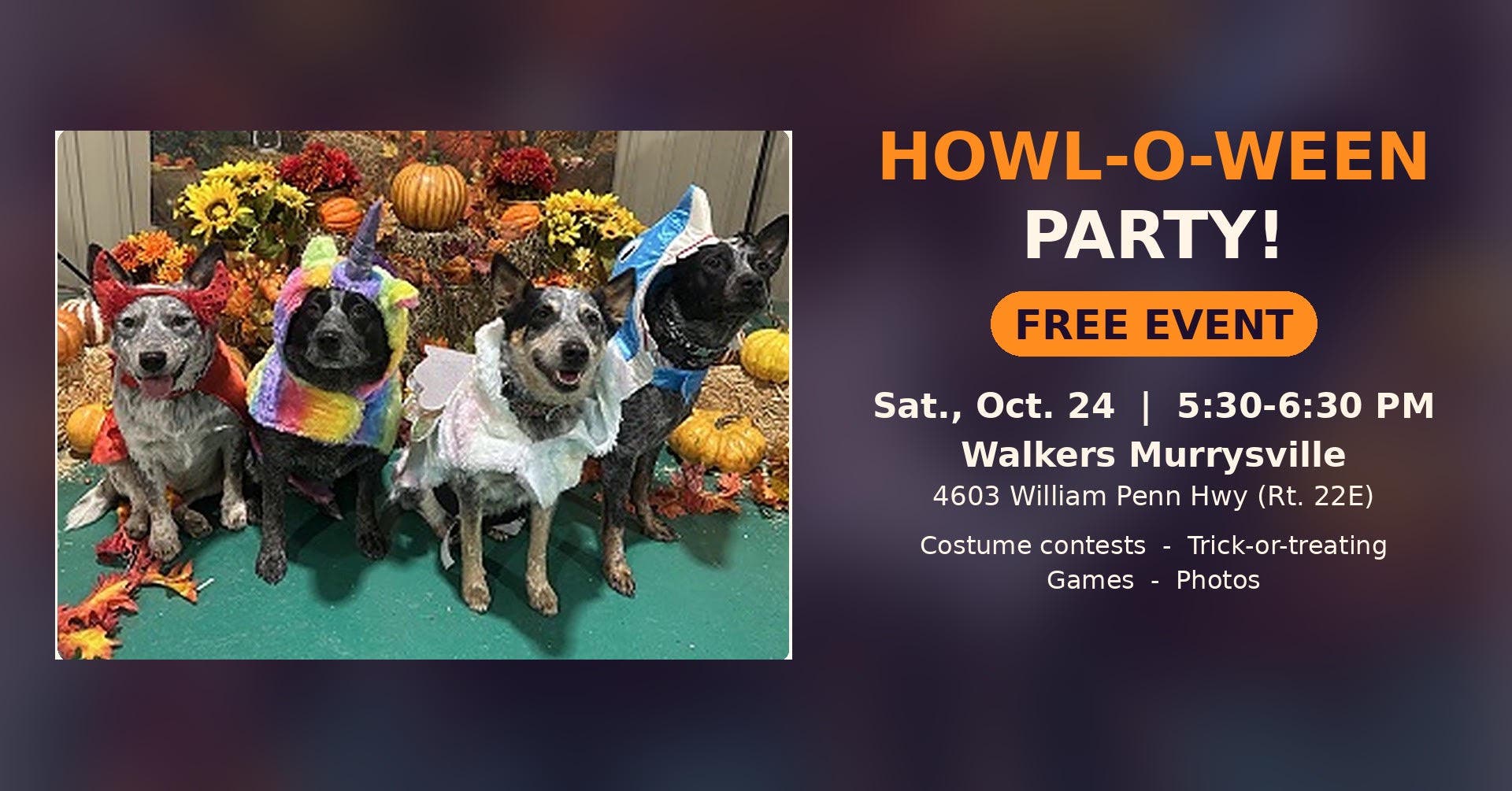 Walkers Pet HoTail's 20th Annual Howl-o-ween Party & Fall Photos!