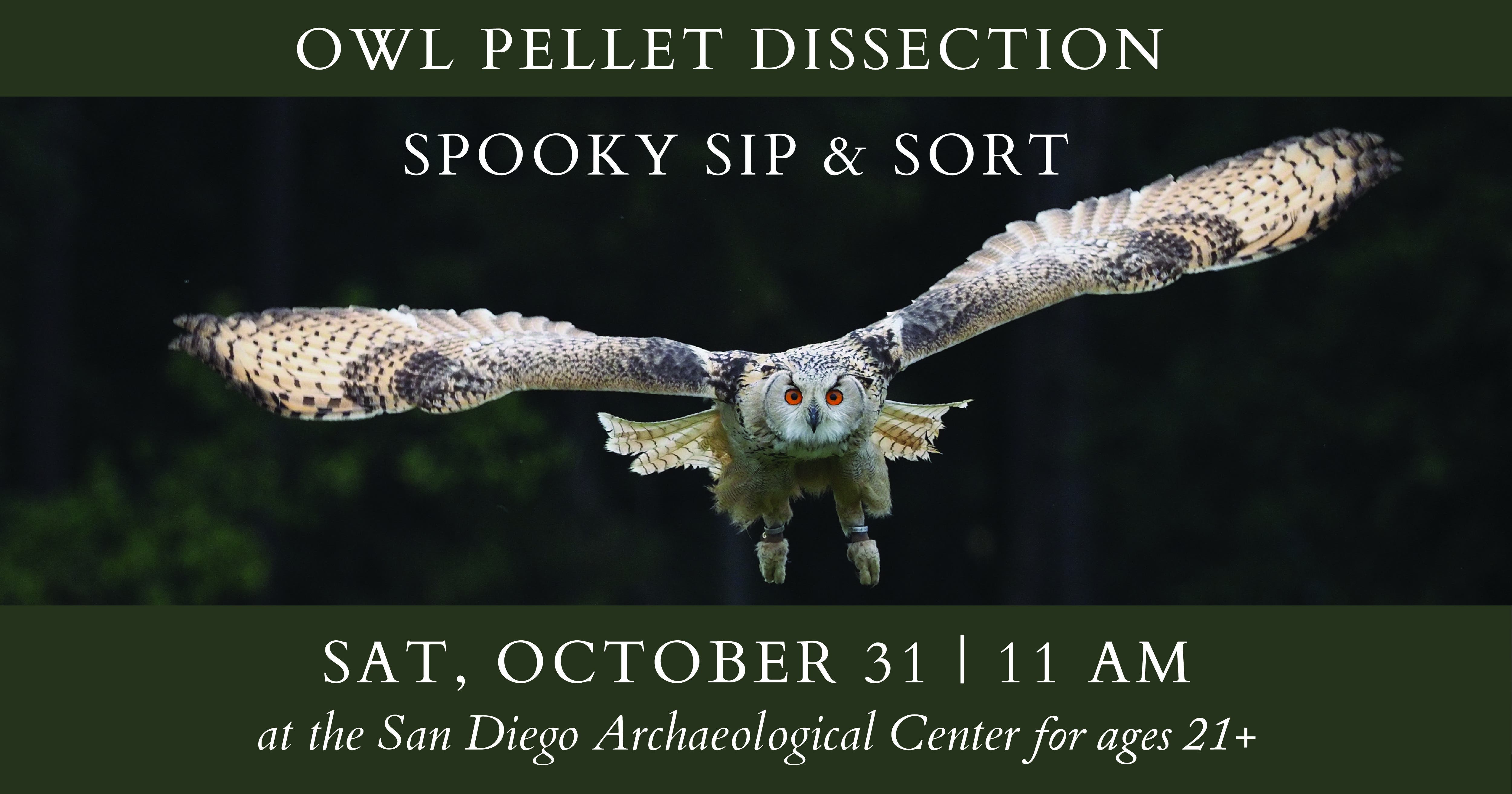 A Very Spooky Sip & Sort: Owl Pellet Dissection