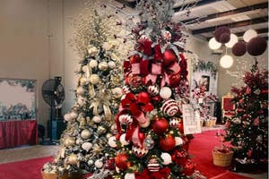 Candy Cane Corner at Plants & Planters