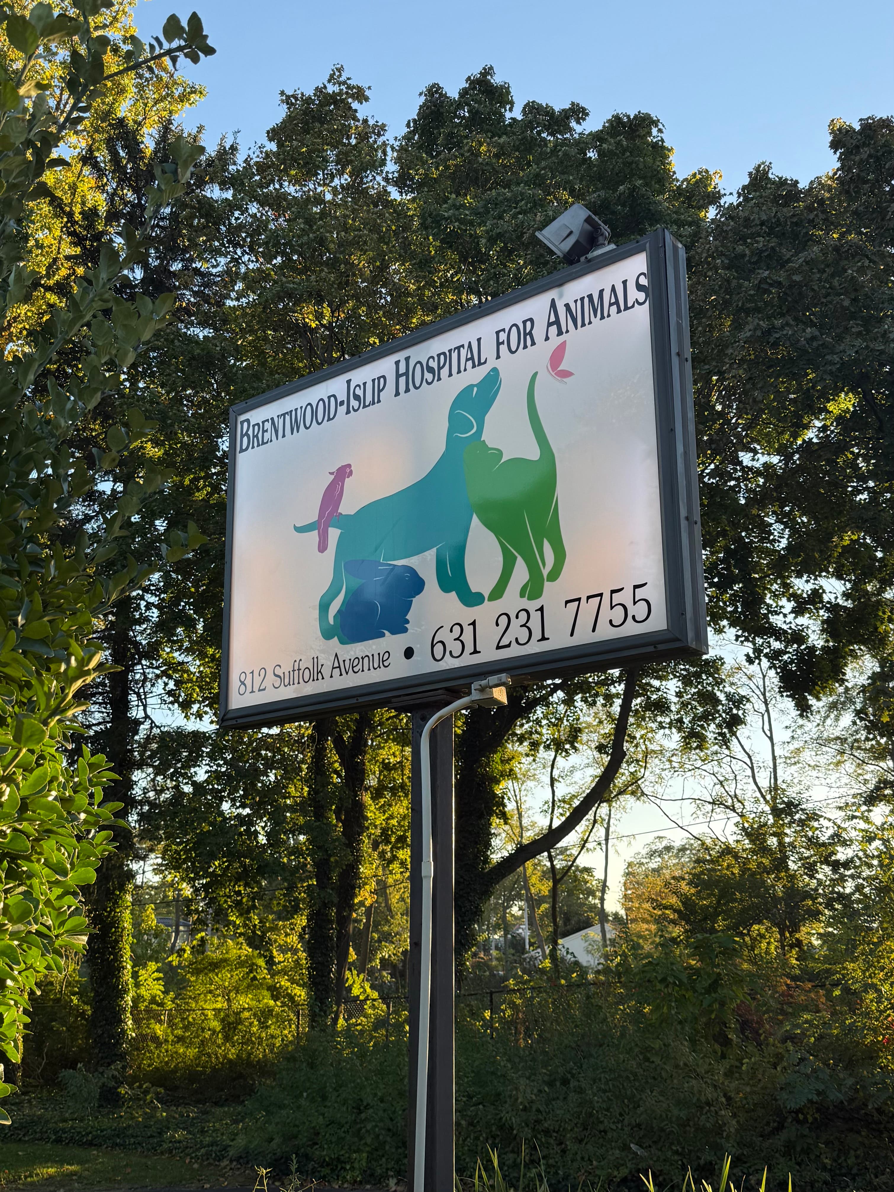 Help Find Brentwood-Islip Animal Hospital a New Home