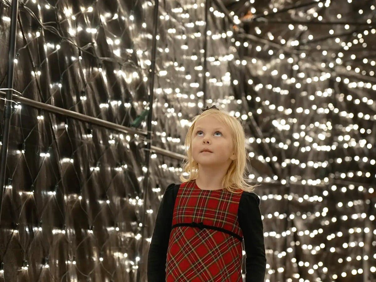 Christmas Lights Des Moines (Winter Wonderland)
