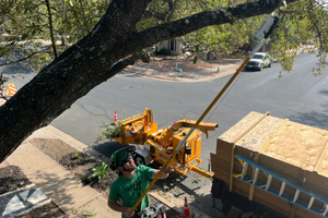 Trimming Texas LLC