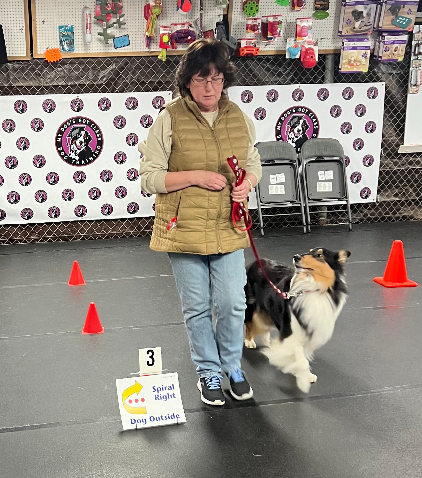 Feb 3 | Canine Rally-O for Fun | Bridgewater, NJ Patch