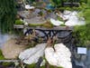 Life-cast cement leaves in Westport's popular "terrain" garden store