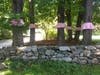 TREE SKIRTS installation @ Beechwood Arts & Innovation