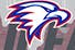 Bald Eagle Sports Summer Camps in Fremont