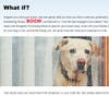 Publicom’s gold-winning entry is an eblast that encourages getting the COVID-19 vaccine.