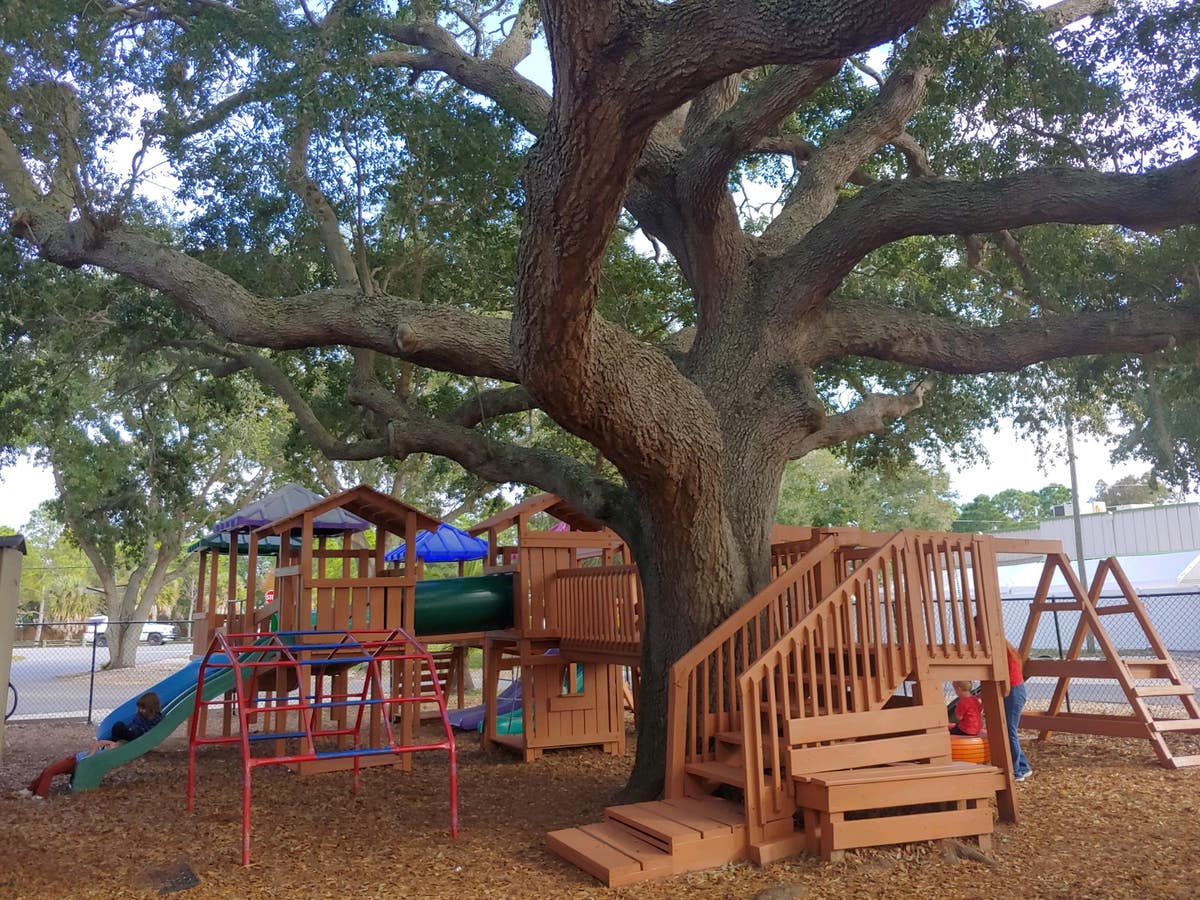 Sweet Peas Preschool