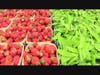 Fresh vegetables and fruits are being offered at the Peekskill Farmers Market. 
