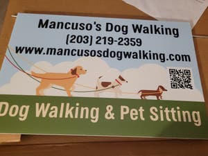 Mancuso's Dog Walking & Pet Sitting 
