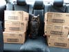 Hooty with 6 cases (60 boxes) on the way to Waltham Public Housing