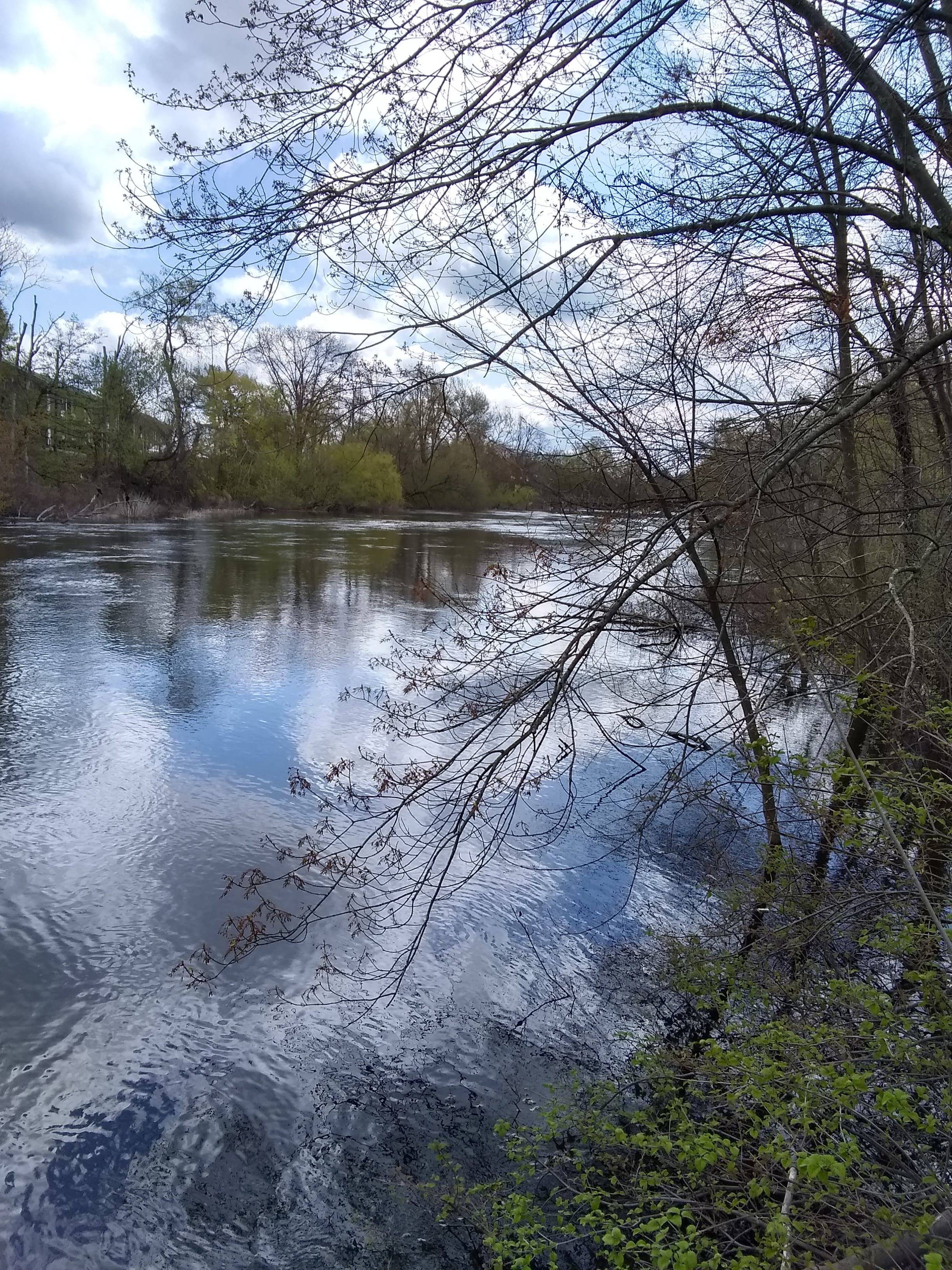 Charles River Cleanup