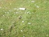 October 3rd when cutting grass leaving trash lazy municipal worker(s) 