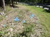 Vreeland Ave Boonton Town Crew cuts grass leaves trash 9/19/20
