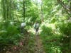 Invasive Plant Volunteer Strike Force Pyramid Mountain Keeping trails cleared from multiple invasives Turkey Mountain Side