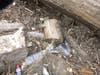 Ongoing crimes/offensives against environment/ecology goes unaddressed 