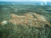 Edison Bog Sparta Mountain How was this allowed to begin and continue? 