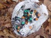 E-cigarette-vape waste tossed Split Rock parking area 