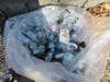 More single-use plastic products drink, drive, litter. pollute. Thank your corporate CEO.