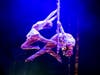Sailor Circus participants Cambria Grover (left) and Rylee Grover during a ladders act