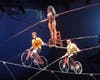 A thrilling high wire act, featuring show co-presenter Nik Wallenda (right), will close ‘A Brave New Wonderland’