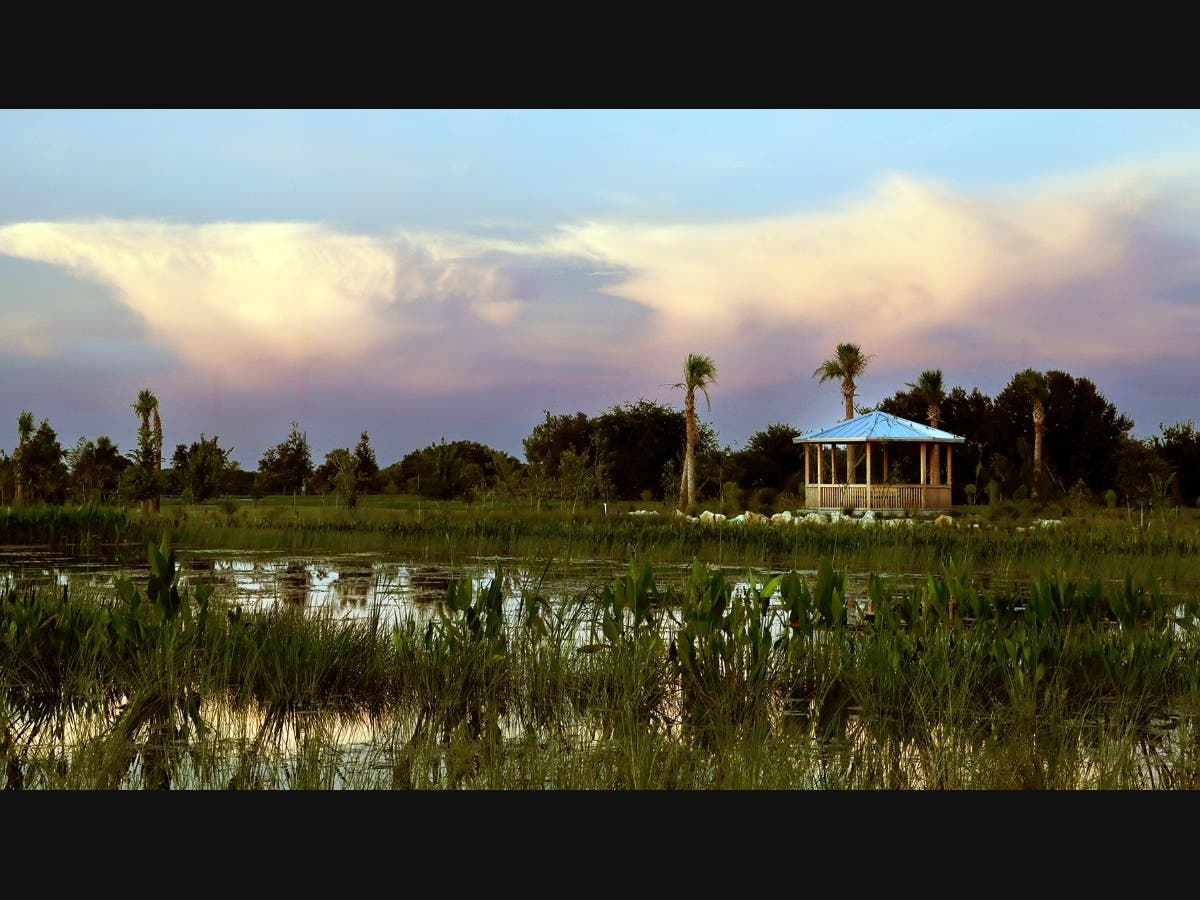 Community members are invited to enjoy a morning in nature, as Big Waters Land Trust and Sarasota Audubon Society celebrate the grand opening of the Southeast Quad adjacent to the Celery Fields on October 24