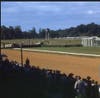 Bel Air Racetrack