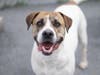 Popular, charismatic and totally lovable, Tornada has the pefect balance of playful/calm energy.