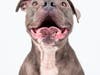 Juju has great energy and is both calm and fun!