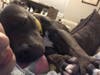 Ledger snuggling