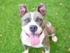 Daphne Blue has the best personality to match her good looks!