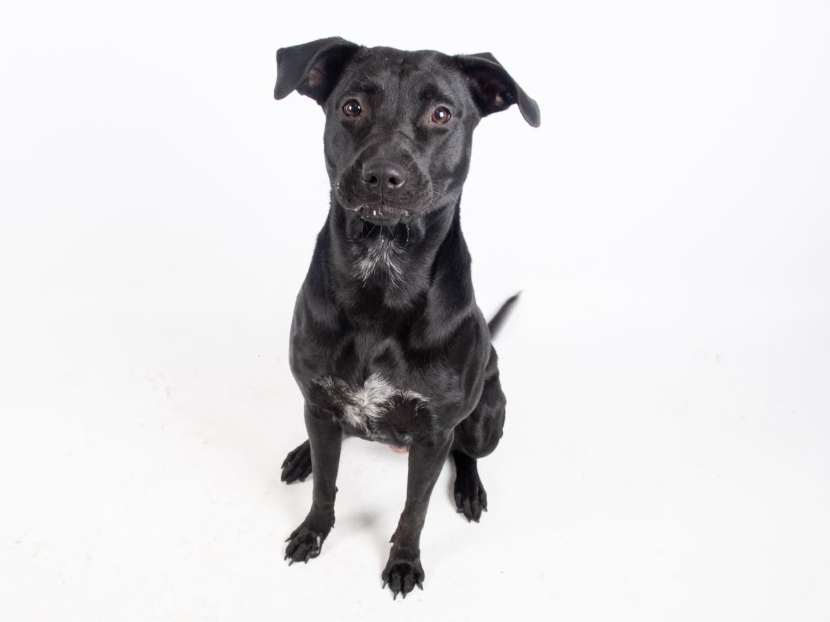 She's the Apple of our eye (and soon to be yours)!