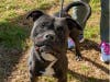 Lincoln can't wait to meet you!