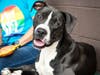Dario would love to meet you!