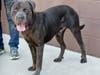 Teeny could be the one for you!