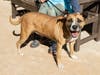 Revayah will capture your heart! Meet her today and fall in love. 