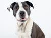 One look into Vanna's eyes will make you fall in love!
