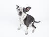 Dottie can't wait to meet you!