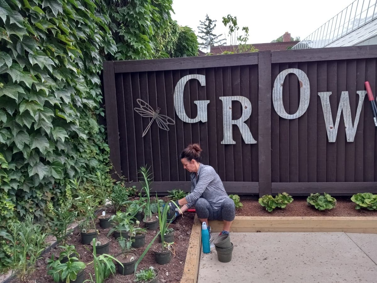 Elmhurst Cool Cities Coalition member Andrea Redfearn plants native seedlings to help establish the garden.
