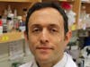 Peter Cole, MD