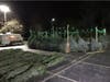 Sain Mary of Vernon Christmas Tree Lot