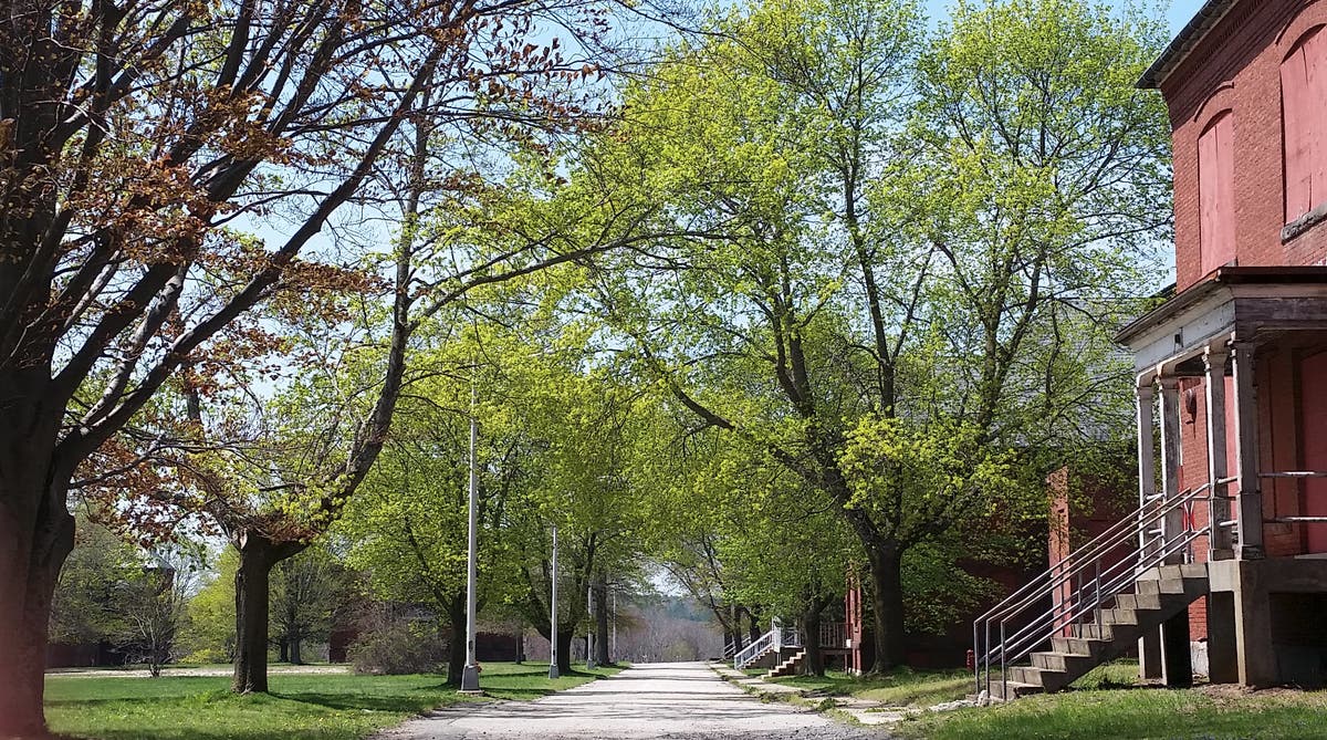 https://patch.com/img/cdn20/users/321386/20170509/043833/styles/raw/public/article_images/msh_east_road_-_may_2017-1494362196-6604.jpg