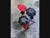 "Rainy Day Reds," acrylic and silver leaf on board, 18x24 in., 2019, $1800