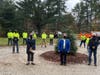 Celebrating Arbor Day 2020