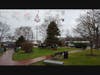 Baxter Park getting lit up for the Holidays