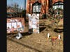 Floral Heart Project memorial in front of Medfield Town House