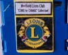 "Coins for Change" Mass. Lions Eye Research Fund 