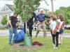 Kennedy, Marcucci and Goulet helping hand out shovels to the Brownies to spread the mulch.