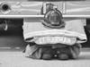 FF Gear belonging to Harman placed outside of the Fire Station.